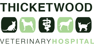 Thicketwood Veterinary Hospital | Stouffville, ON